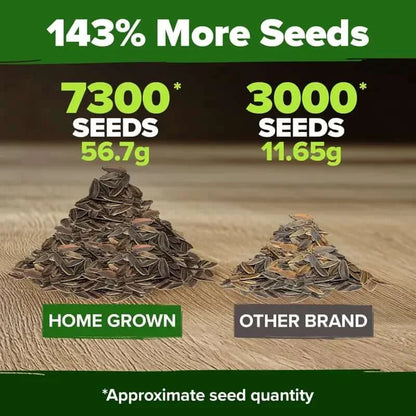 🔥HOT SALE 49% OFF-Zinnia Seeds - Pure Seeds - No Filler - USA Heirloom Flower Seeds